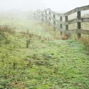 A peaceful landscape with fence like ranch