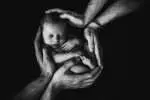 This captivating black and white photograph portrays an intimate moment of hands gently holding a baby. The composition emphasizes the tender connection between the child and the caregiver, encapsulating a timeless moment of care and protection.